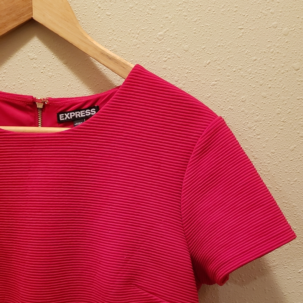 Red Express Bodycon Dress